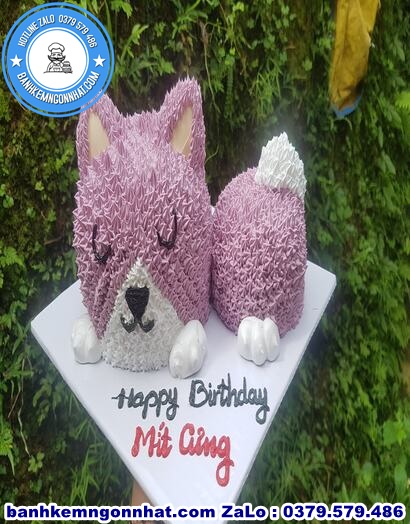 banh kem sinh nhat con mèo ở Huyện Bắc Tân Uyên, Bình Dương