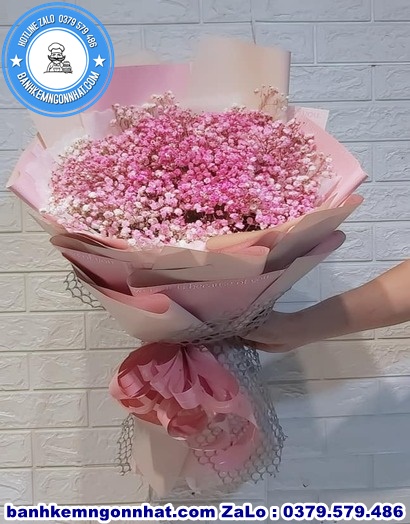 hoa baby huyện nh&agrave; b&egrave;